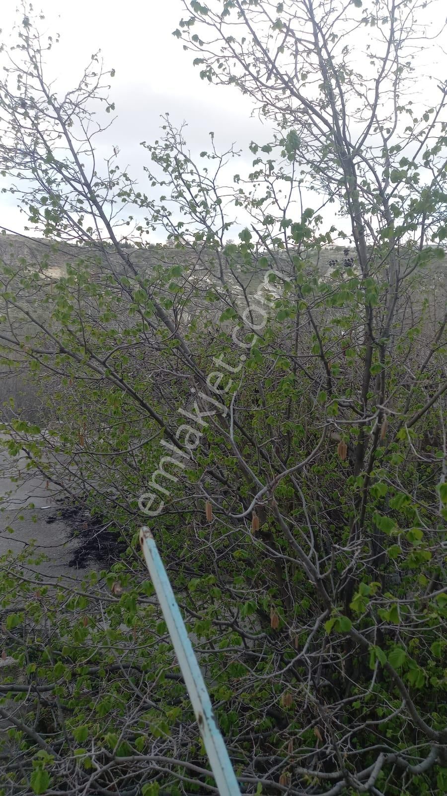 Nevşehir Nar Kasabasında Motel Olmaya Müsait Kaya Damlardan Oluşan Satılık Müstakil Ev - Görsel 14