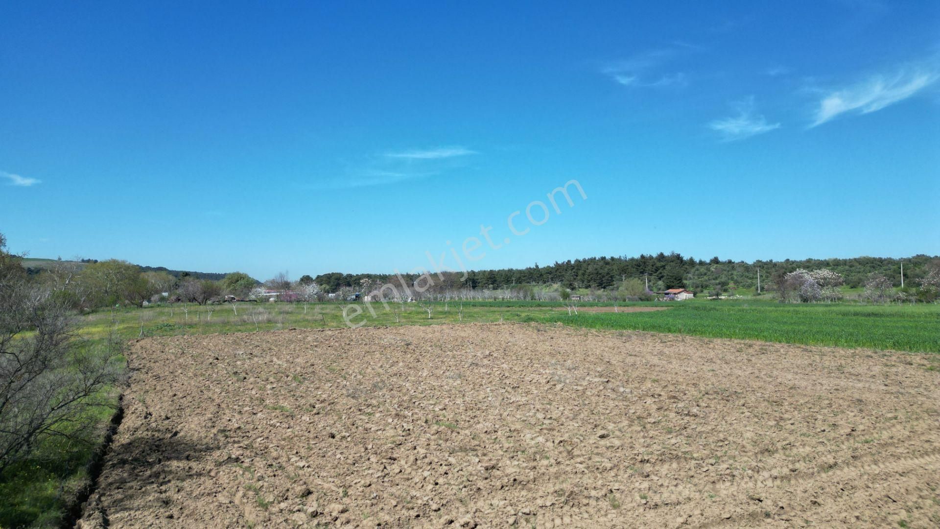 Çanakkale Merkez Dümrek Köyü Satılık Tarla Çanakkale Merkez Dümrek Köyü Çay Kenarı Hobi Bahçesi