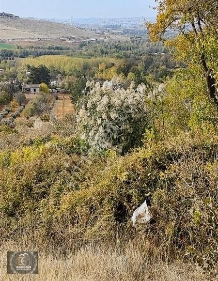 Oğuzeli Çaybaşında Satılık Bağevlik Yer - Görsel 2