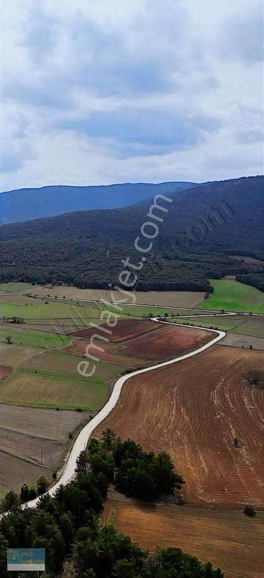 Kastamonu Merkez Eymir Köyü (Kaya) Satılık Tarla ÜNLÜ EMLAKTAN 125DÖNÜM TEKTAPU YAPILABİLİR ÇİFTLİK ARAZİSİ