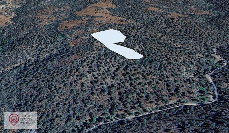 Bursa Büyükorhan Çökene De 12.459 M2 Tarla - Görsel 3