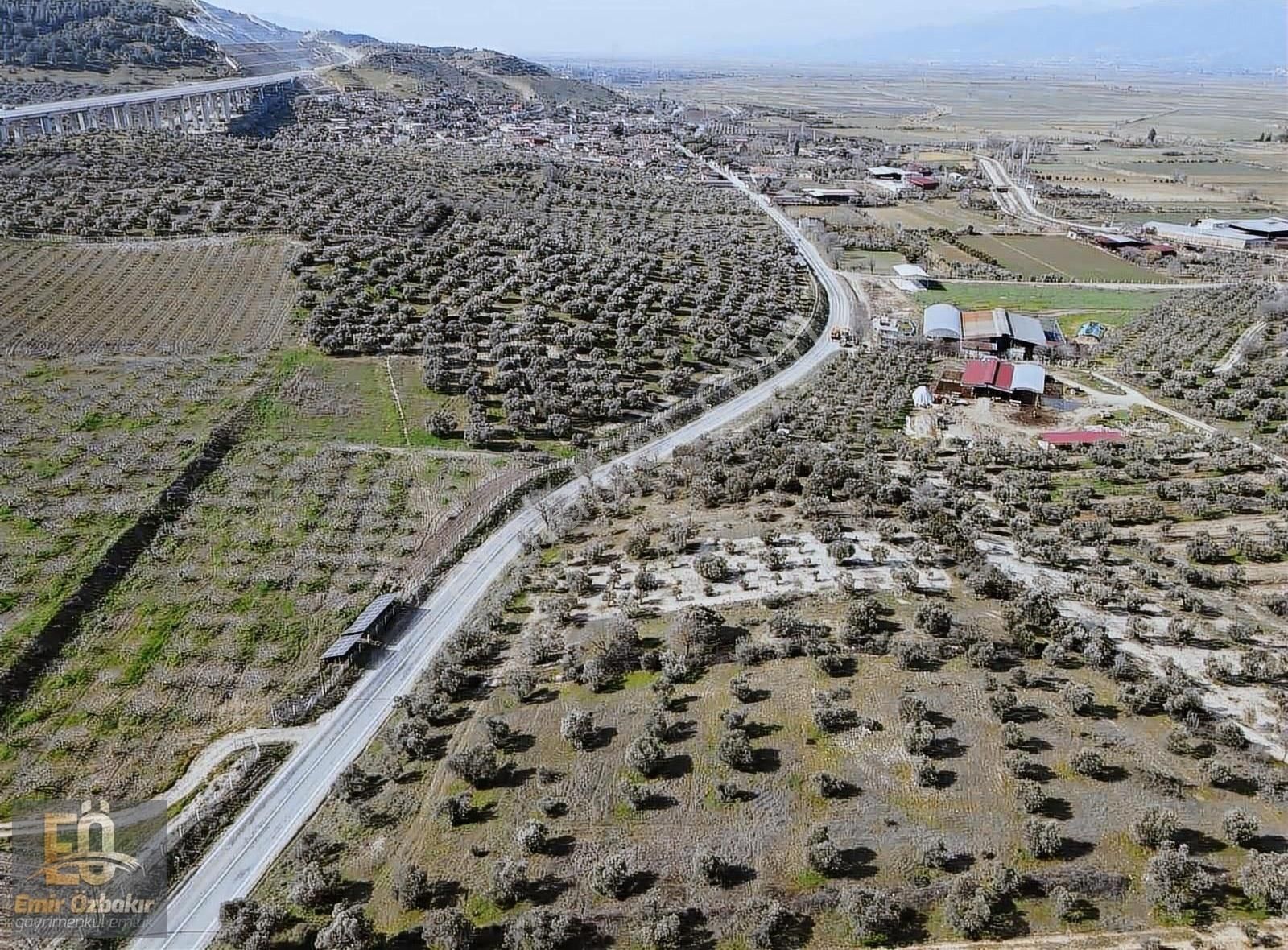 Yenipazar Direcik Satılık Tarla Yenipazar Bozdoğan Asfalt Cepheli 19850 m2 Tek Tapu Satılık Tarla 