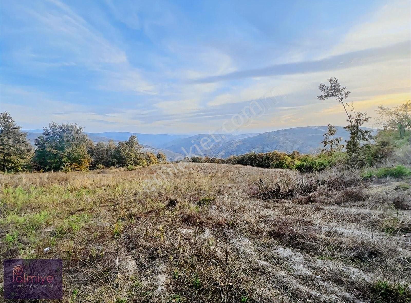 İznik Hacıosman Satılık Tarla İznik'in Gözdesi Hacıosman'da Doğa Harikası 14,300 M2 Arazi