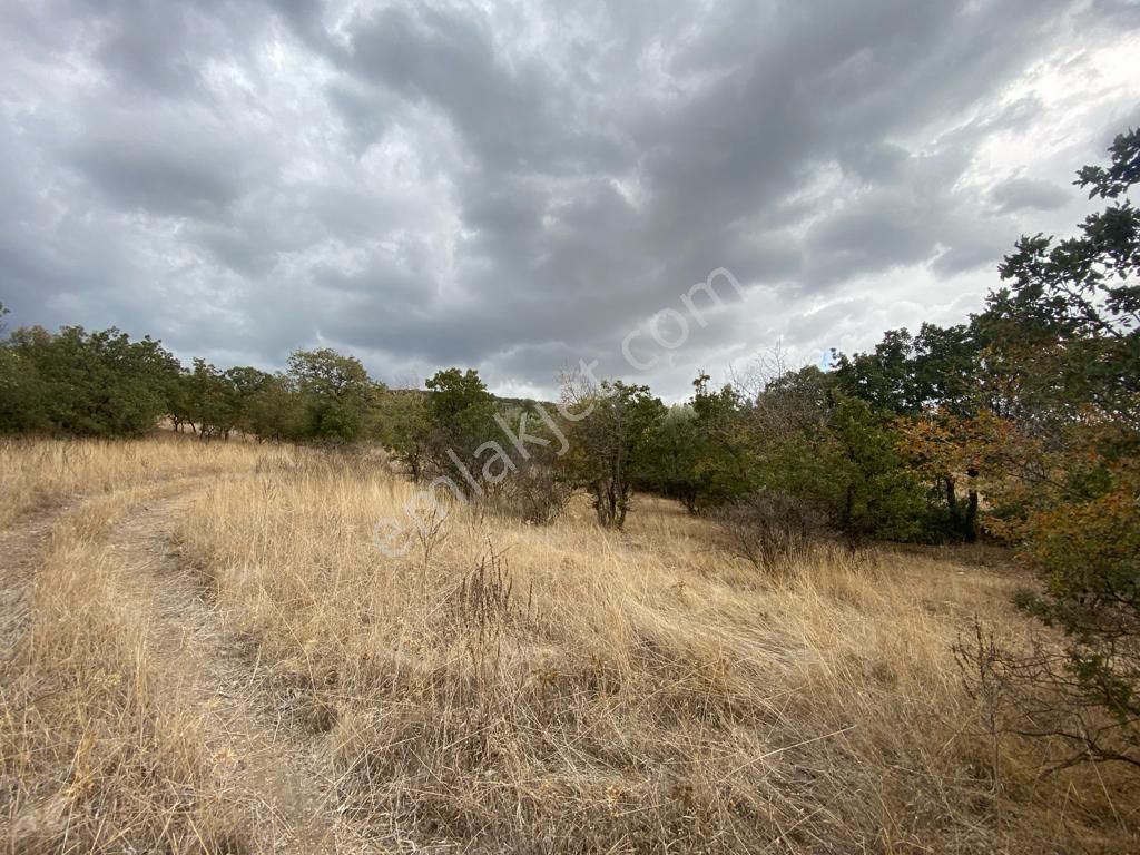 İzmir Menemen Süleymanlı'da Manzaralı Tarla - Görsel 4