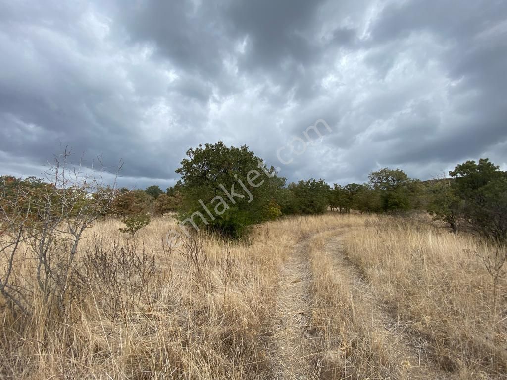 İzmir Menemen Süleymanlı'da Manzaralı Tarla - Görsel 13
