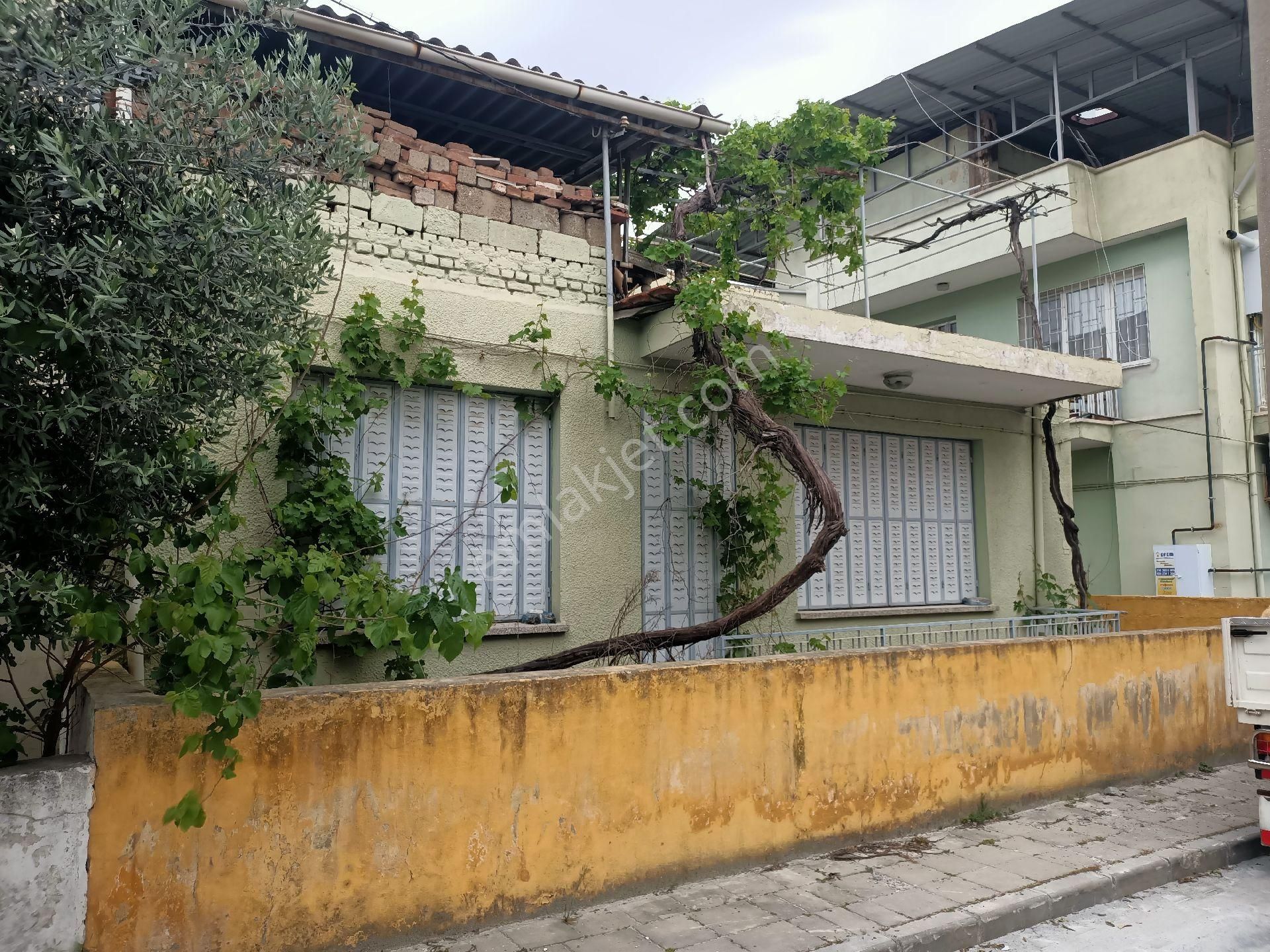 Söke Cumhuriyet Satılık Müstakil Ev Sahibinden satılık tek katlı müstakil ev 