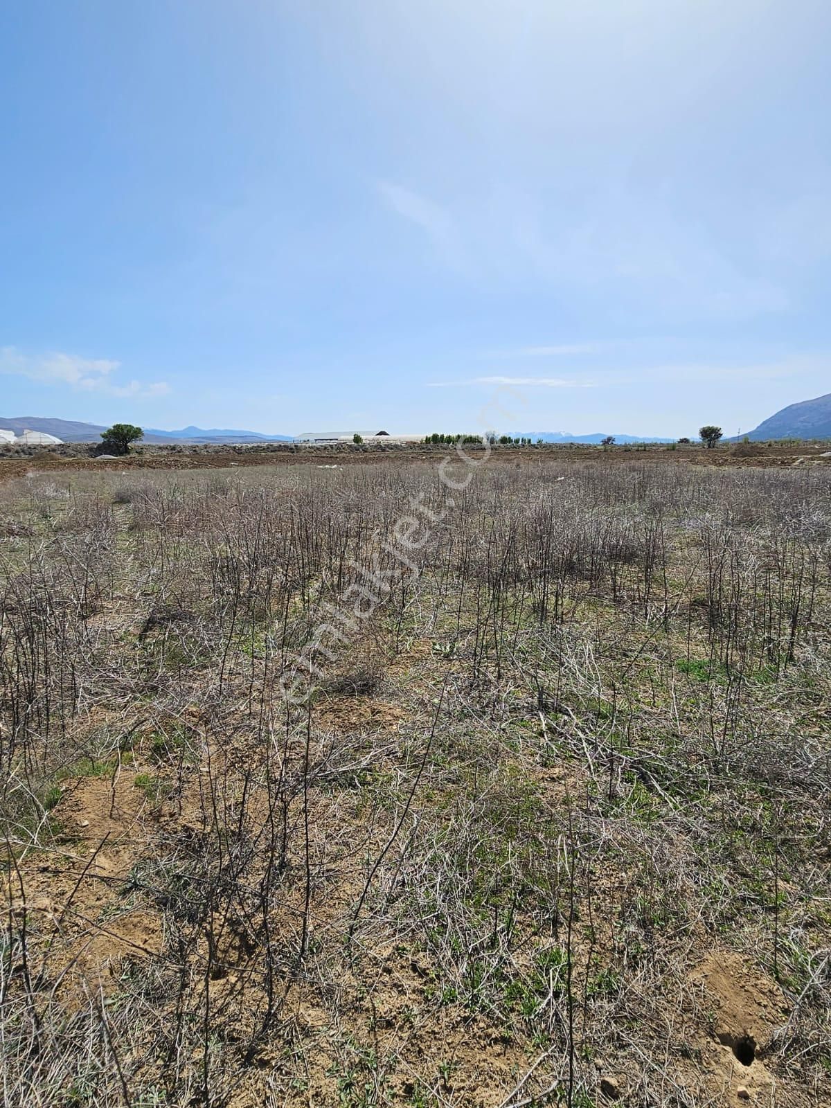 Antalya Elmalı Bozhüyük Mahallesinde Kadastrol Yola Cephe 2.780m2 Satılık Boş Tarla - Görsel 8