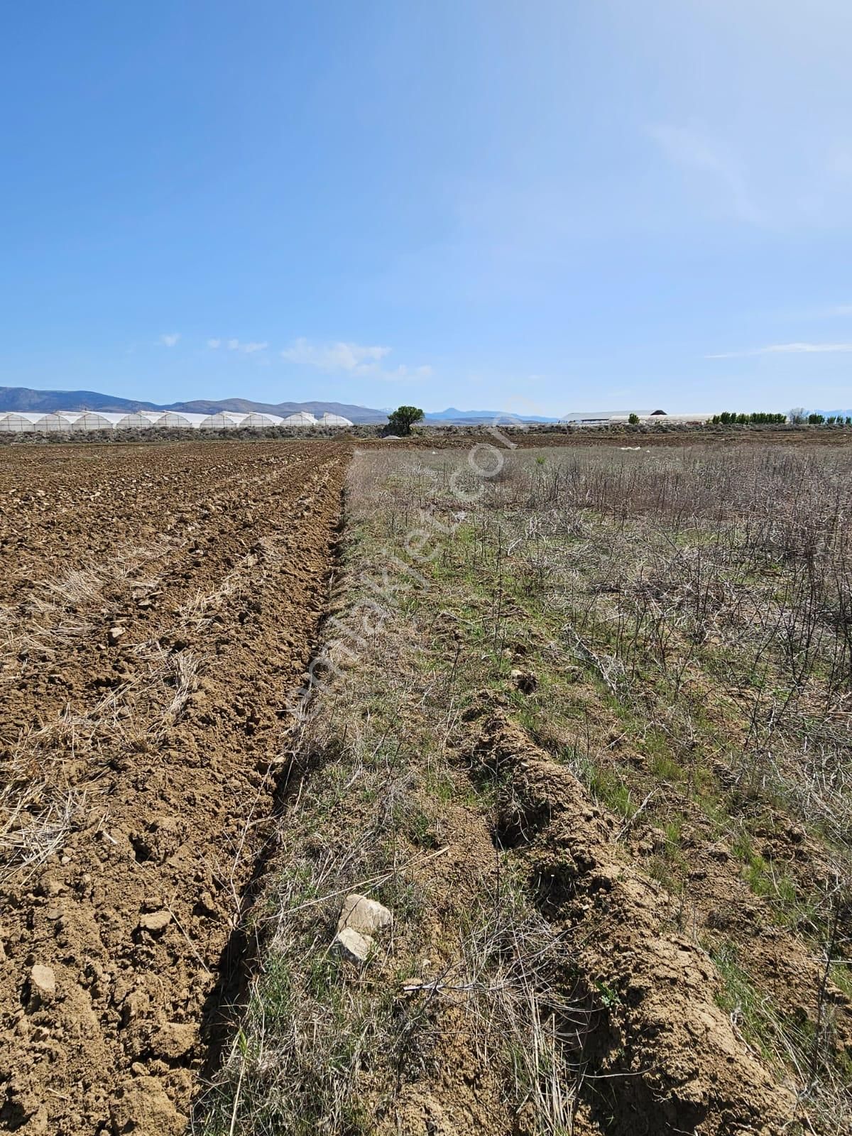 Antalya Elmalı Bozhüyük Mahallesinde Kadastrol Yola Cephe 2.780m2 Satılık Boş Tarla - Görsel 5