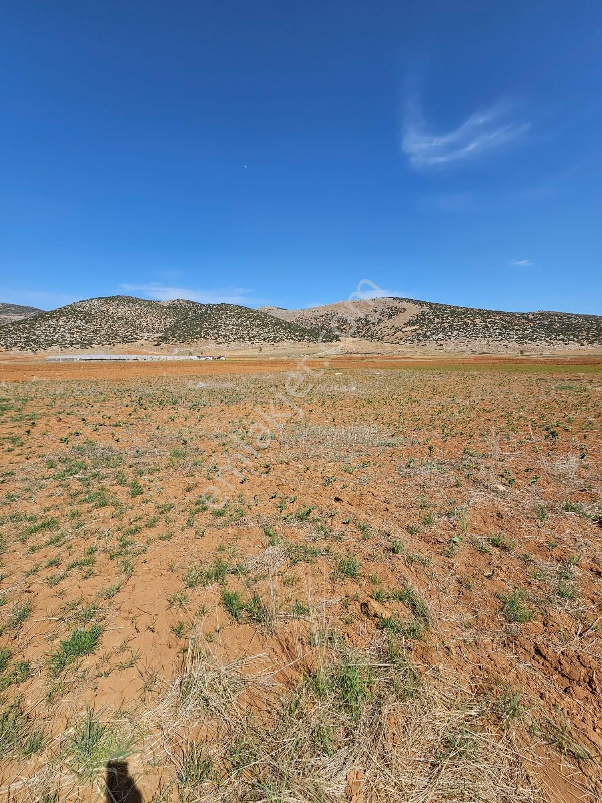 Antalya Elmalı Bozhüyük Mahalle Merkezine Yakın Lokasyonda 1.237m2 Satılık Tarla - Görsel 6