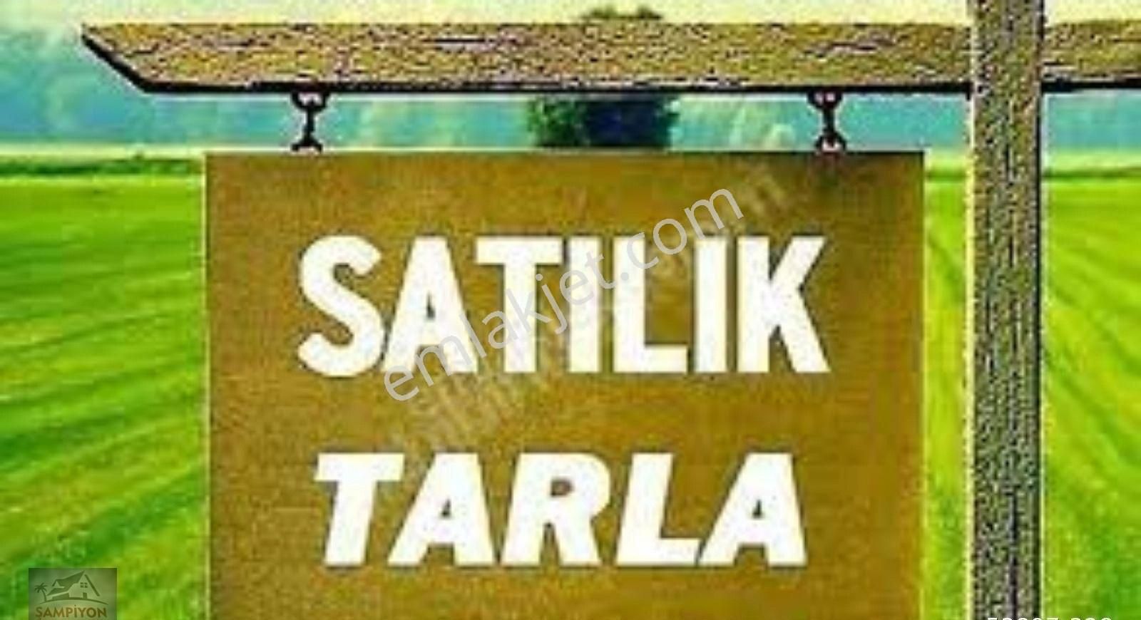 Gönen Karasukabaklar Satılık Tarla Bandırma Şampiyon Emlak'tan Satılık Tarla