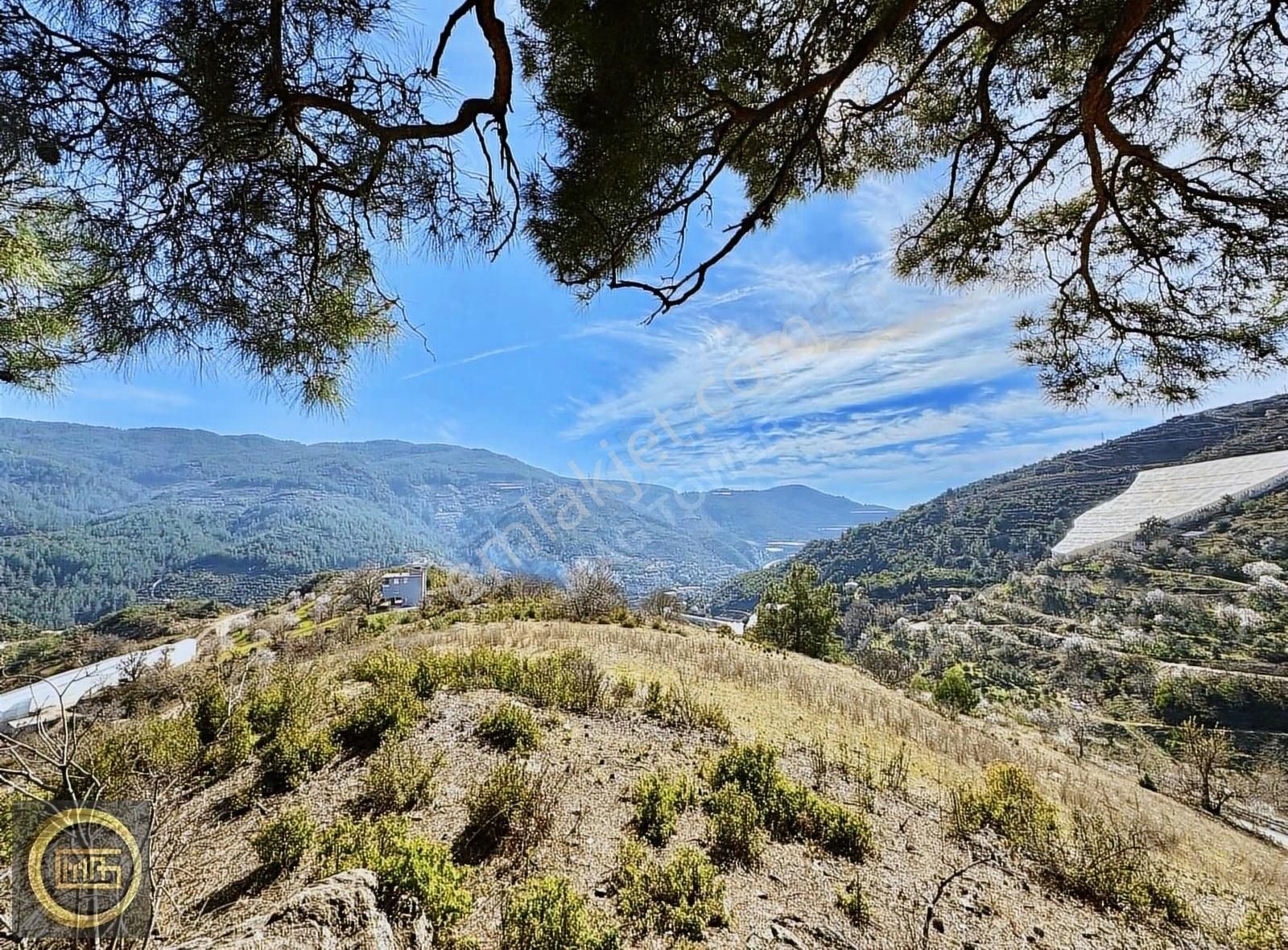 Alanya Burçaklar Satılık Tarla ALANYA'DA PROJELİK TARLA