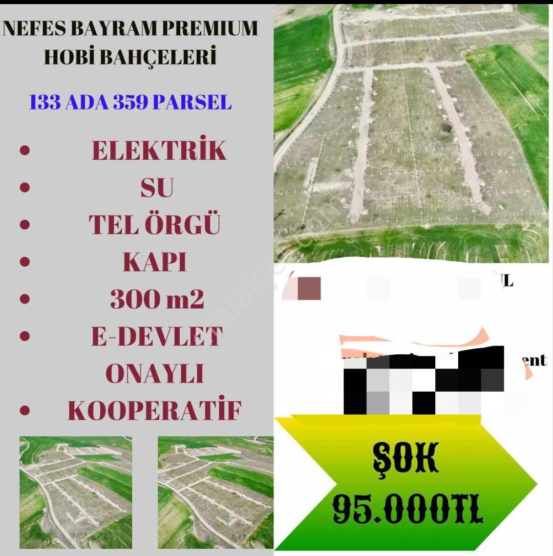 Ayaş Bayram Satılık Bağ & Bahçe TELEFON PARASINA HOBİ BAHÇESİ 300 M2 ETRAFI ÇEVRİLİ SU ELEKTRİK MEVCUT AYAŞ BAYRAM KÔYÜ