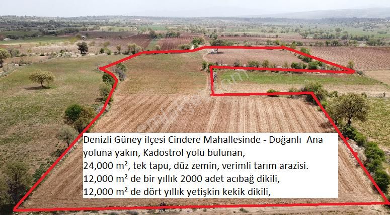 Güney Cindere Satılık Tarla Denizli İli Güney İlçesi Cindere Mahallesi Cindere - Doğanlı Anayoluna Yakın Mesafede Satılık Tarla