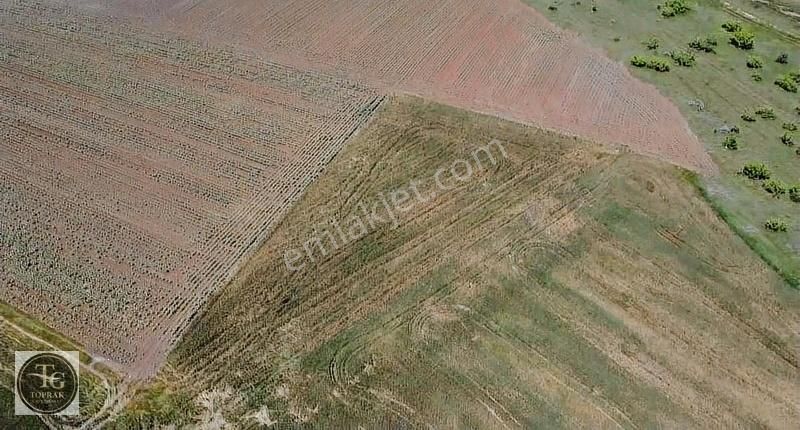 Lüleburgaz Ertuğrul Köyü Satılık Tarla Lüleburgaz Ertuğrul Da 2 Dönüm Satılık Arazi