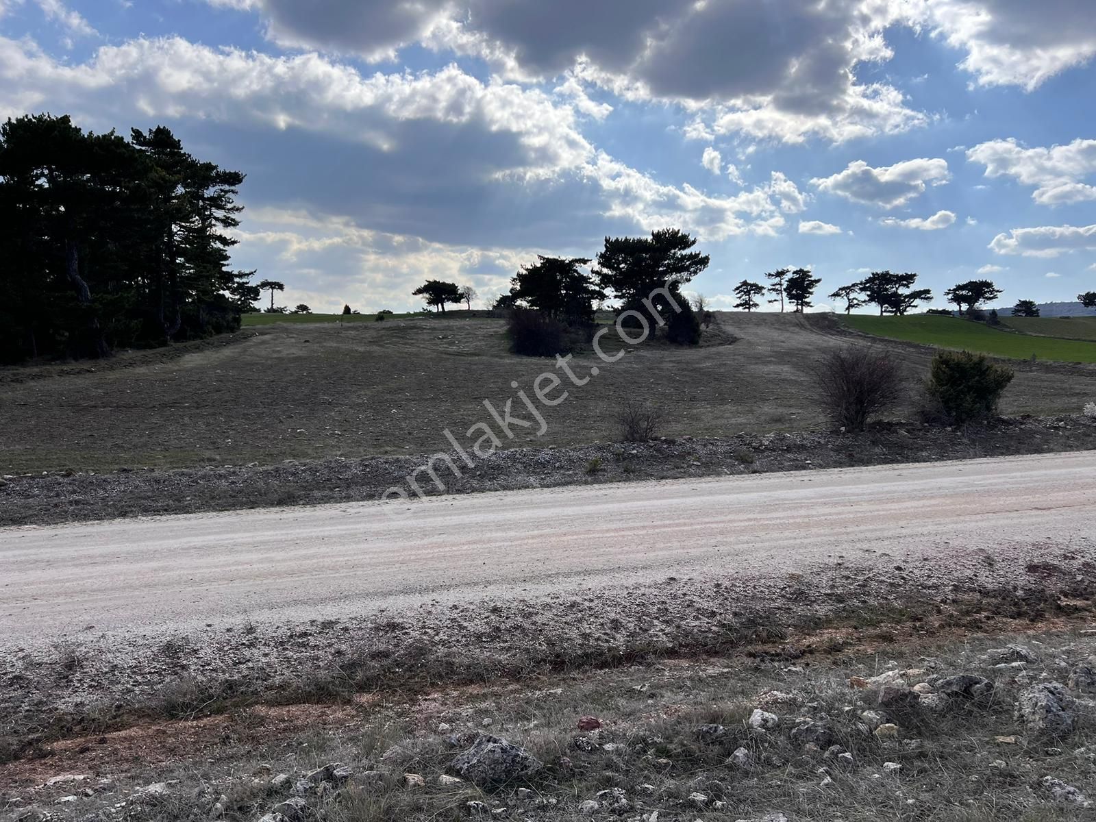 Seyitgazi Göcenoluk Satılık Tarla  BAŞKAN EMLAKTAN SATILIK SEYİTGAZİ GÖCENOLUK KÖYÜ 6.143 M2 TARLA