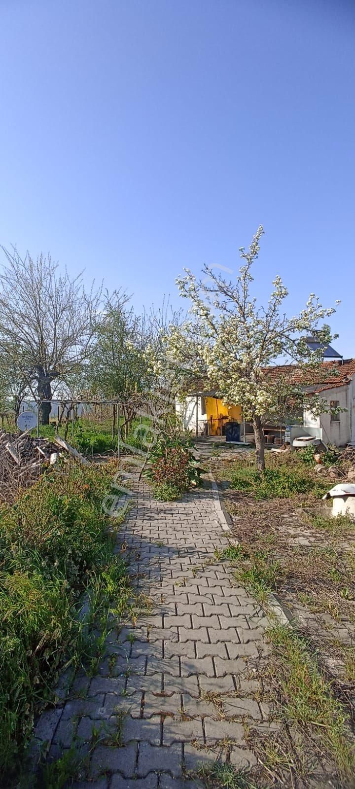 Karesi Yeşilova Satılık Müstakil Ev Doğanın içinde temiz müstakil