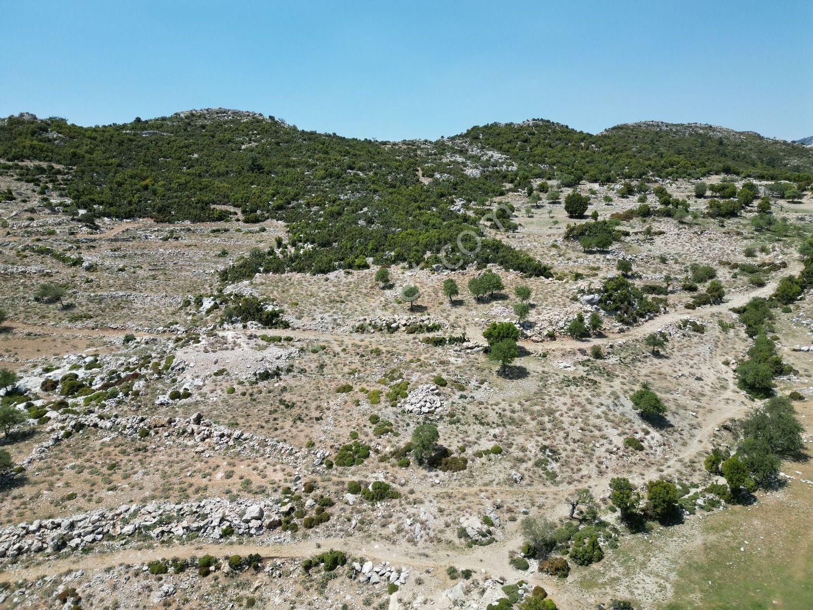 Goldhouse Dan Satılık Fethiye Karaağaçta 745m² Yola Cephe Arsa - Görsel 5