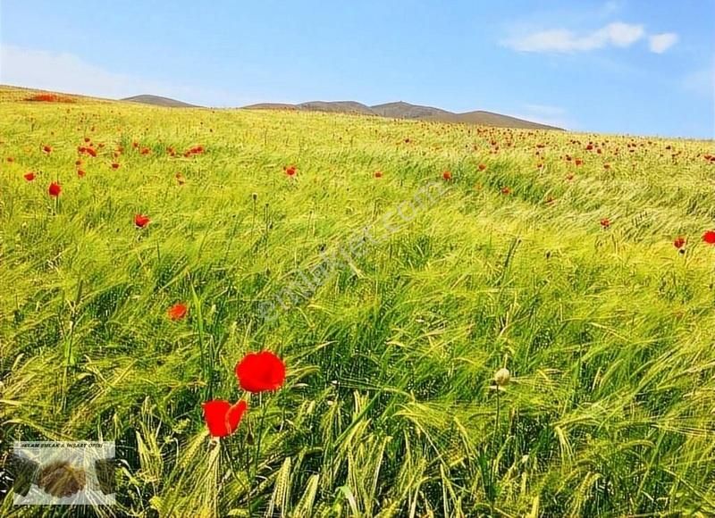 Battalgazi Boran Satılık Tarla SELAM EMLAKTN HASIRCILAR ANAYOLUNDAN BİR PARSEL İÇERDE BOŞ TARLA