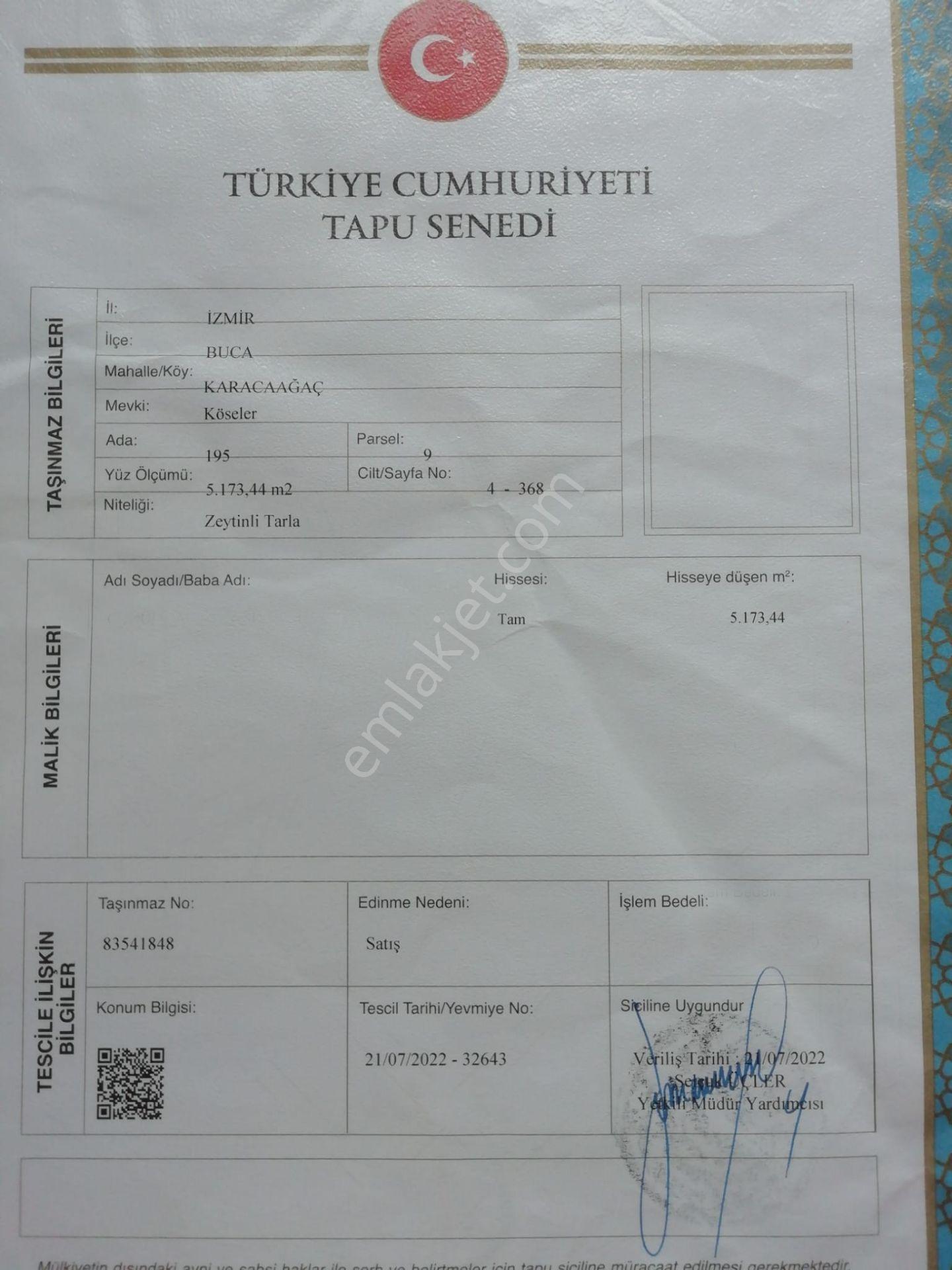 Buca Kaynaklar Karacaağaç Köyünde 5 Dönüm Üzeri Zeytinlik - Görsel 23