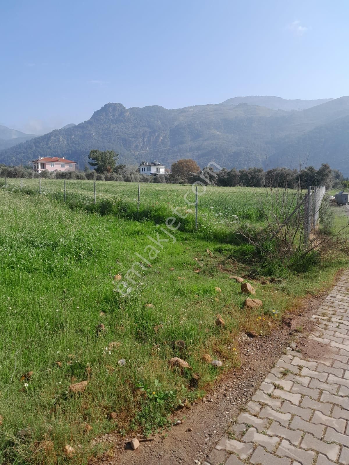 Ulaş Yapı Emlaktan Yangı Yeni Mh.yeşilköy Sınırında Müstakil Tapu Tarla+zeytinlik 5060m2 - Görsel 6