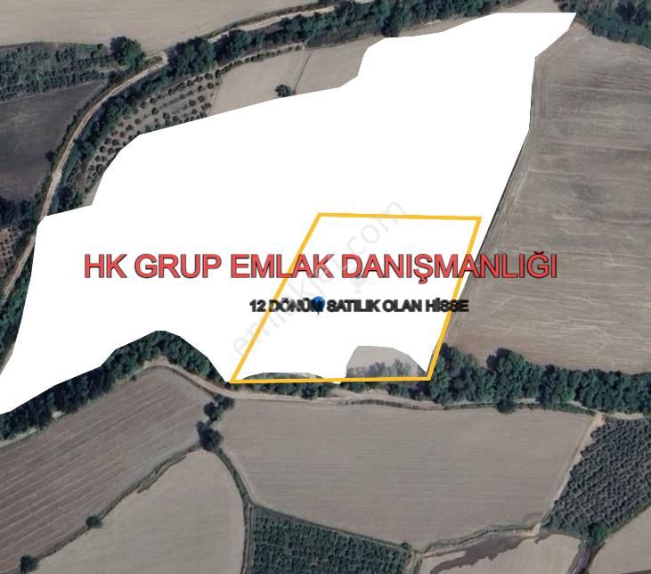 Seydikemer Güneşli Satılık Tarla  SEYDİKEMER GÜNEŞLİ MAHALLESİNDE ACİL SATILIK 12 DÖNÜM TARLA