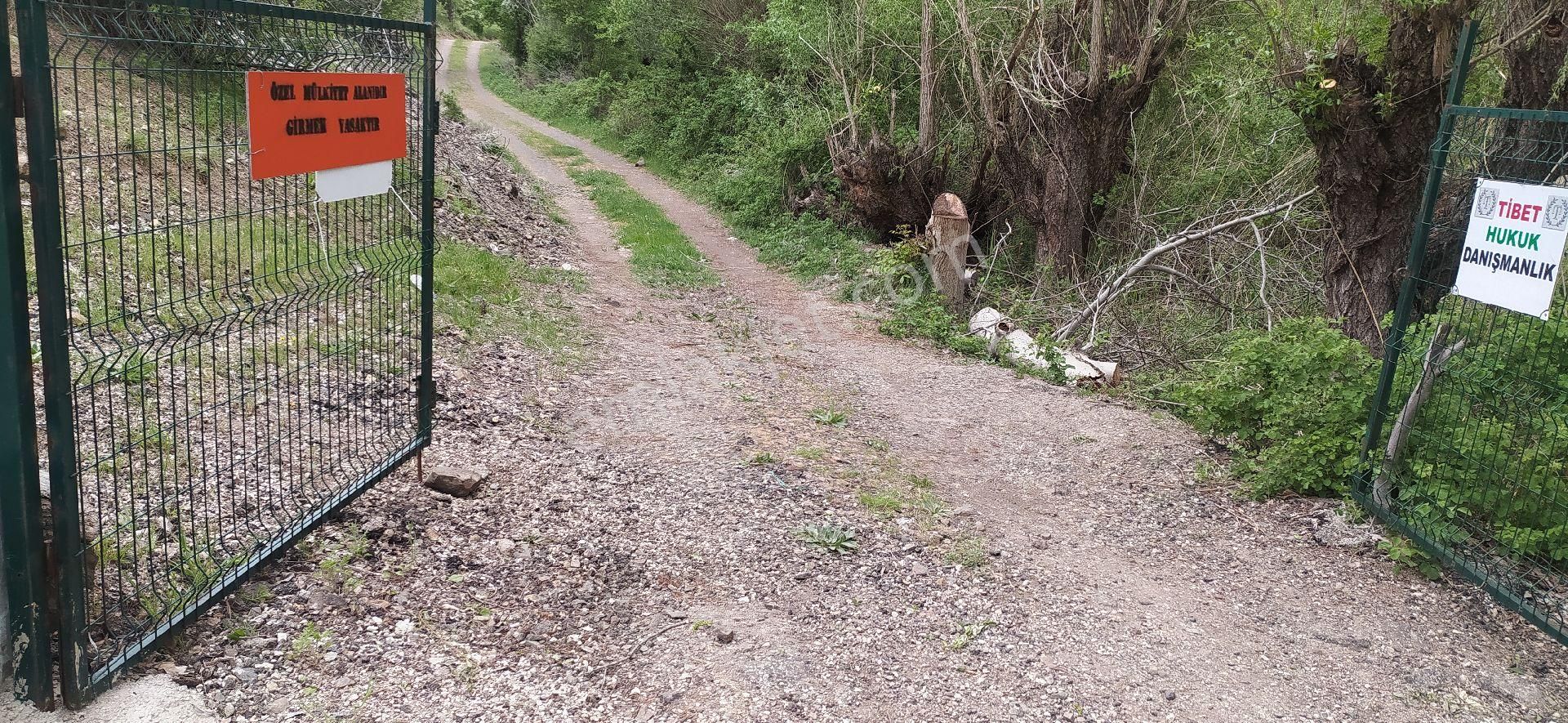 Ayaş Yağmurdede Satılık Tarla AYAŞ YAĞMUR DEDE MAH TEK TAPU BAHÇE YERİ MANZARALI AĞAÇLI 