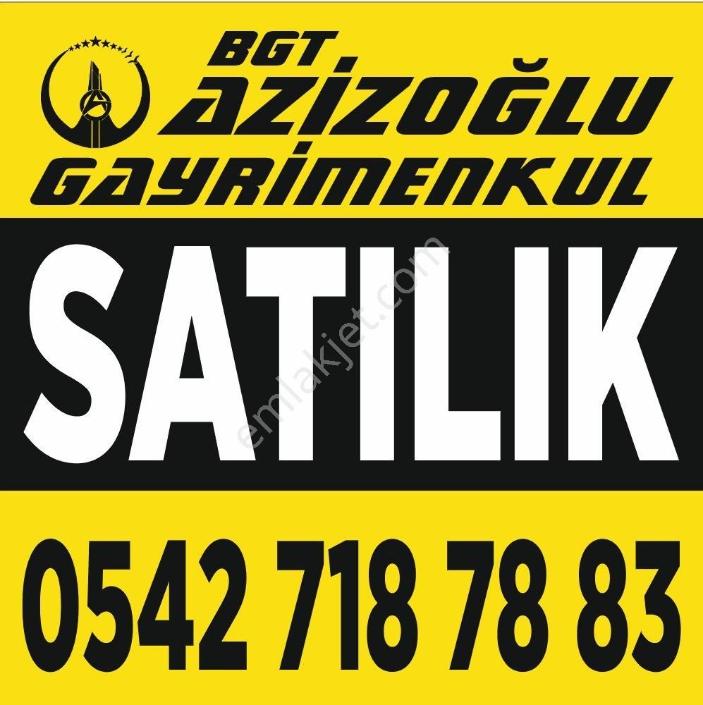 Oğuzeli Tınazdere Yetişmiş Fıstık Ve Zeytin