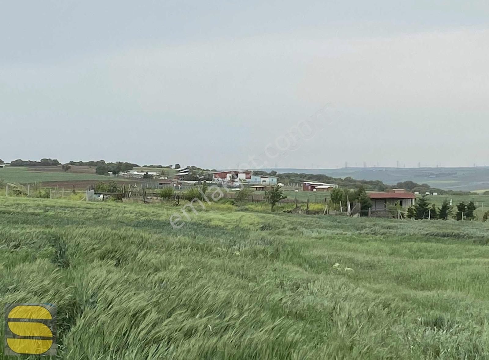 İstanbul Silivri Değirmenköy Satılık 4860m2 Tek Tapu Tarla - Görsel 7