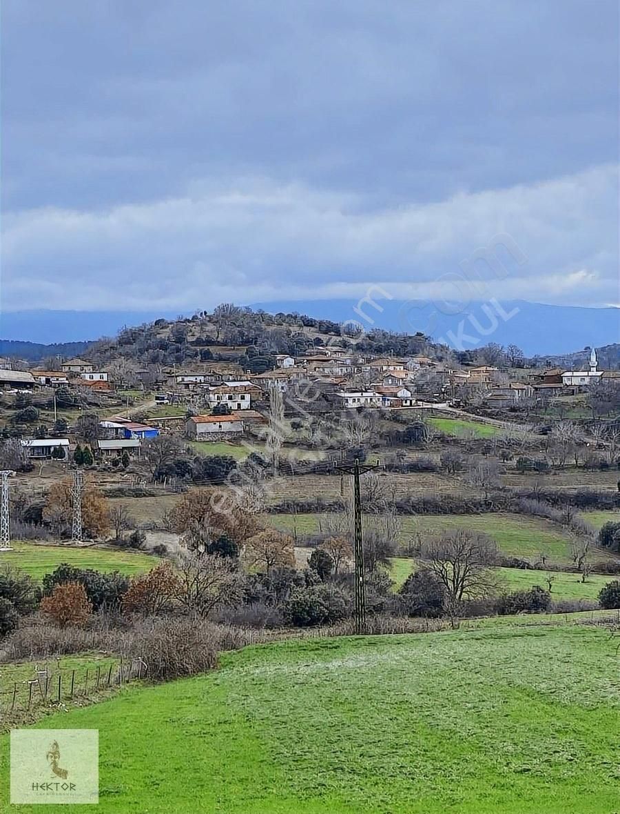 Bayramiç Saraycık Köyü Satılık Tarla ÇANAKKALE BAYRAMİÇ SARAYCIK KÖY YERLEŞİK ALANI İÇİ ARAZİ