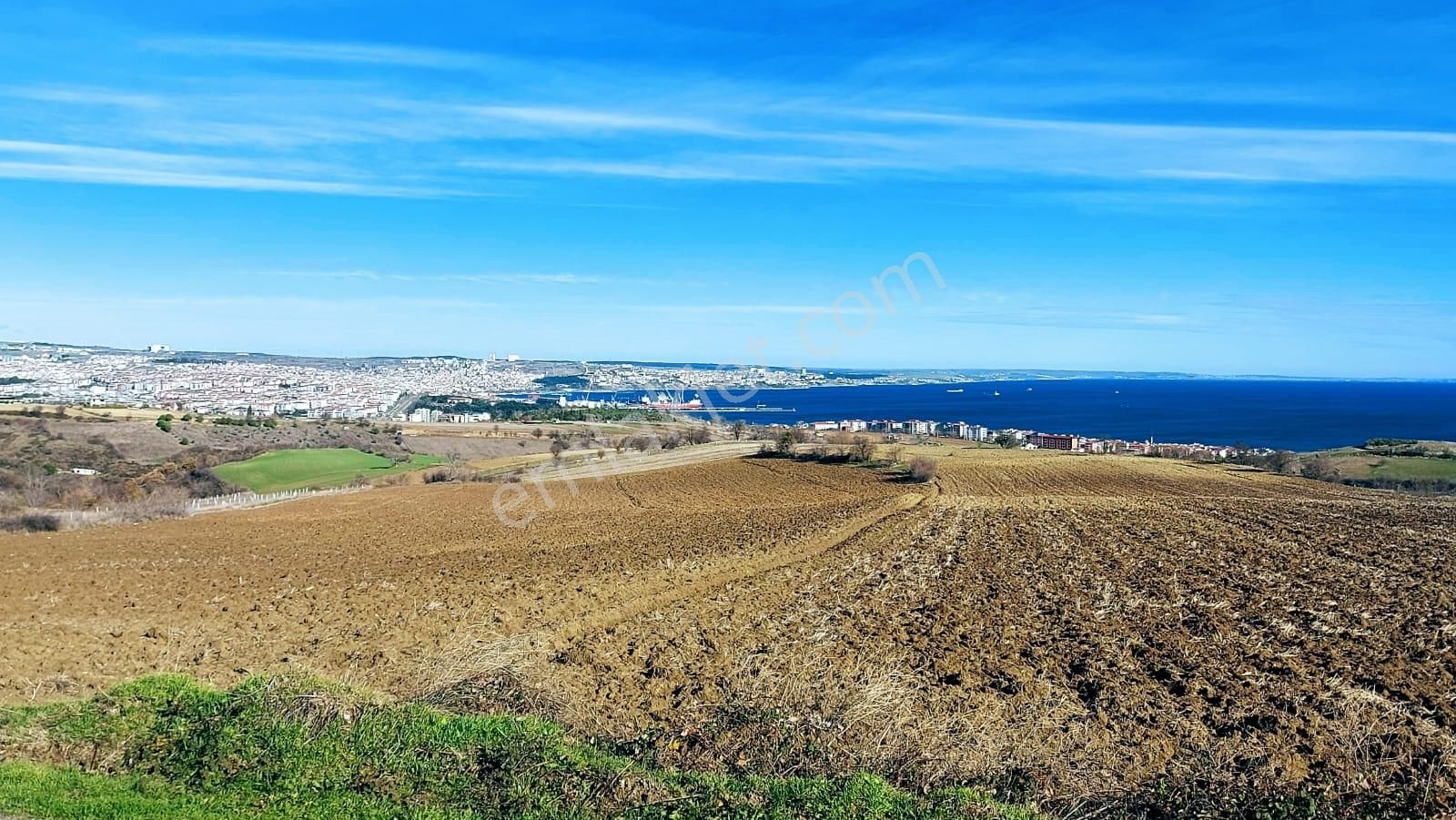 Süleymanpaşa Topağaç Satılık Konut İmarlı TEKİRDAĞ BARBAROSTA ACİL SATILIK 34.000 M2 FULL DENİZ MANZARALI VİLLA IMARLİ TARLA 