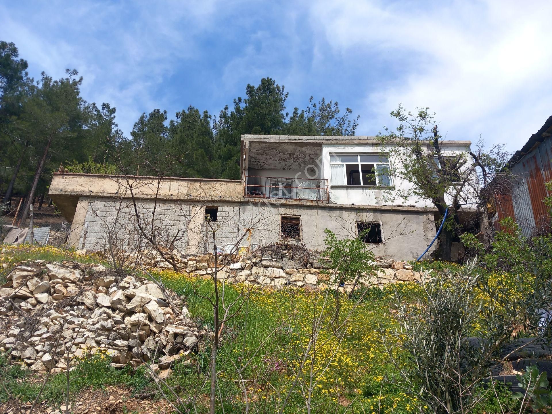 Dulkadiroğlu Pınarbaşı Satılık Bağ & Bahçe Kandılda Satılık Bağ Evi 