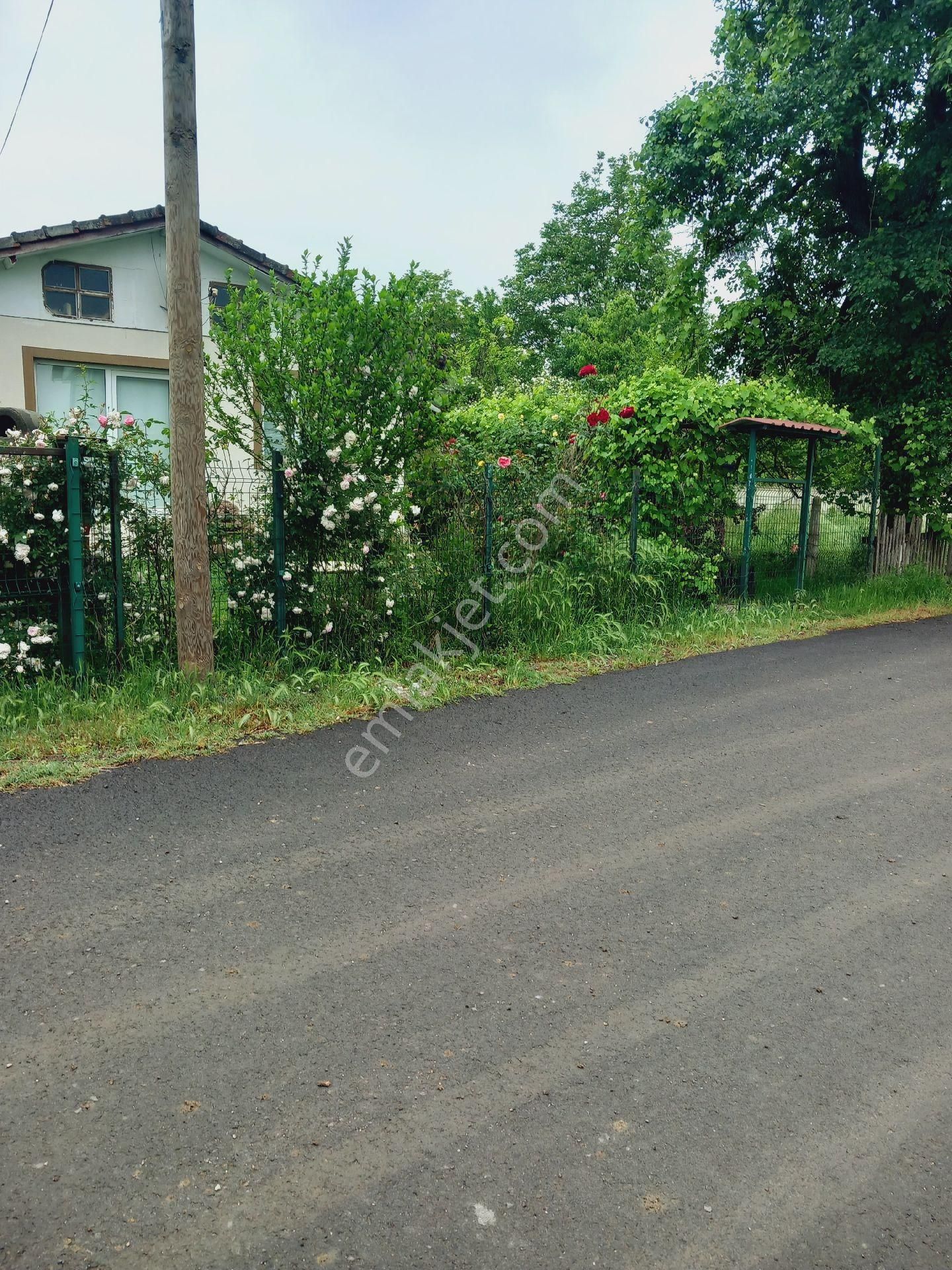 Düzce Merkez Arapçiftliği Satılık Müstakil Ev Düzce merkez Arapçifliğinde müstakil ev 