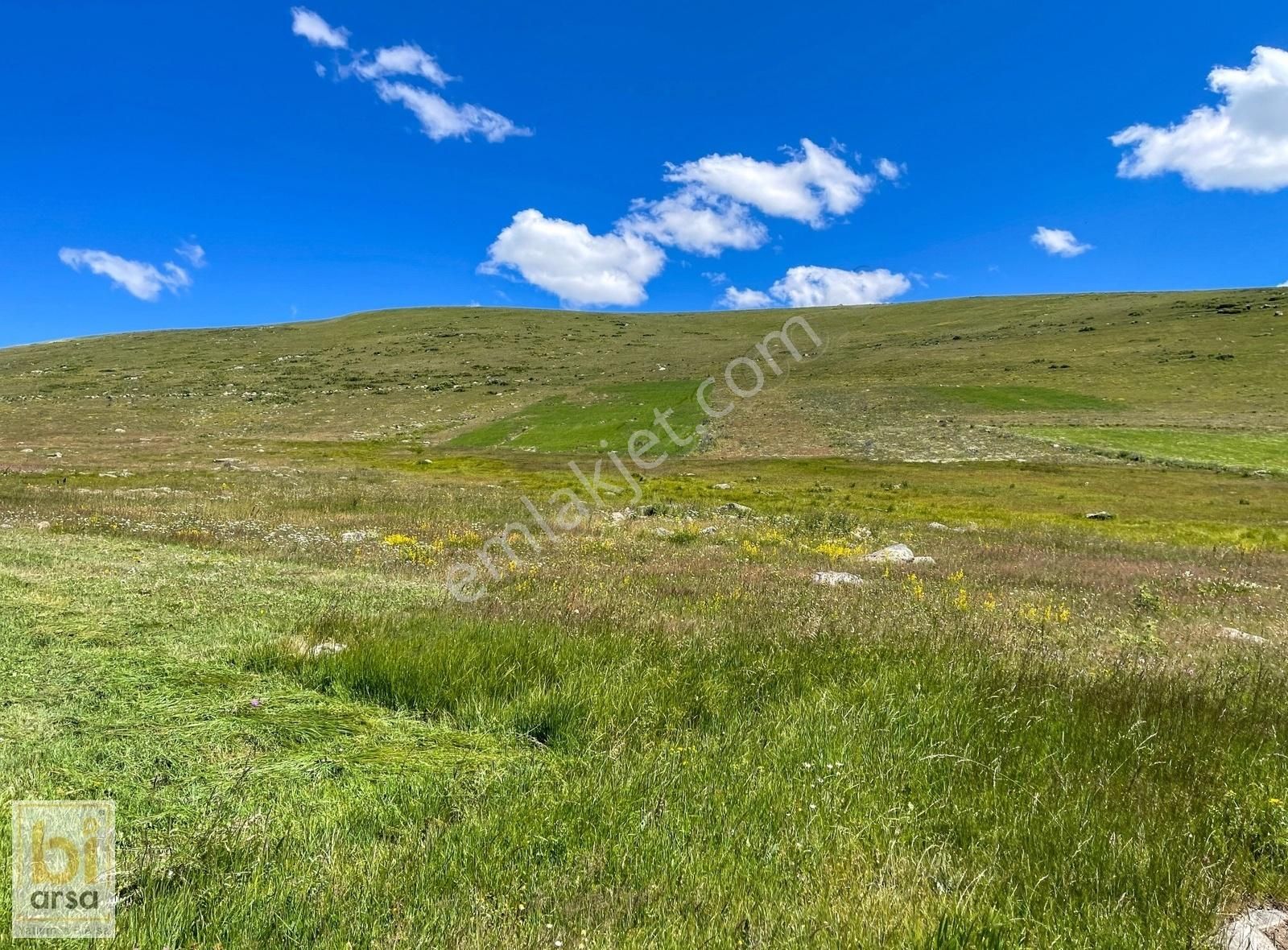 Ardahan Merkez Tunçoluk Köyü Satılık Tarla Ardahan Merkez'de, Asfalt Yola Cepheli, 4.990 M2 Yatırım Fırsatı