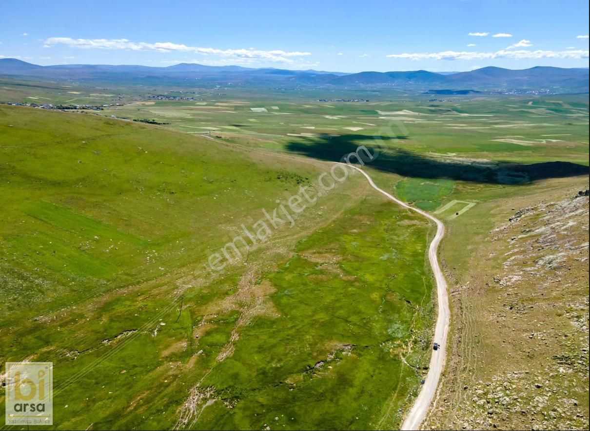 Ardahan Merkez'de, Asfalt Yola Cepheli, 4.990 M2 Yatırım Fırsatı