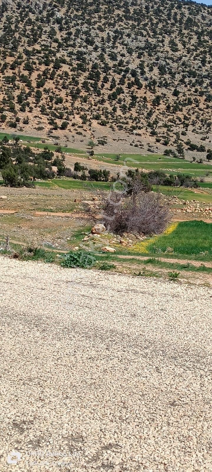 Beğiş Susuz 1500m2 Yatırımlık Tarla - Görsel 3