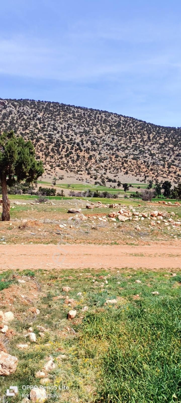 Beğiş Susuz 1500m2 Yatırımlık Tarla - Görsel 8