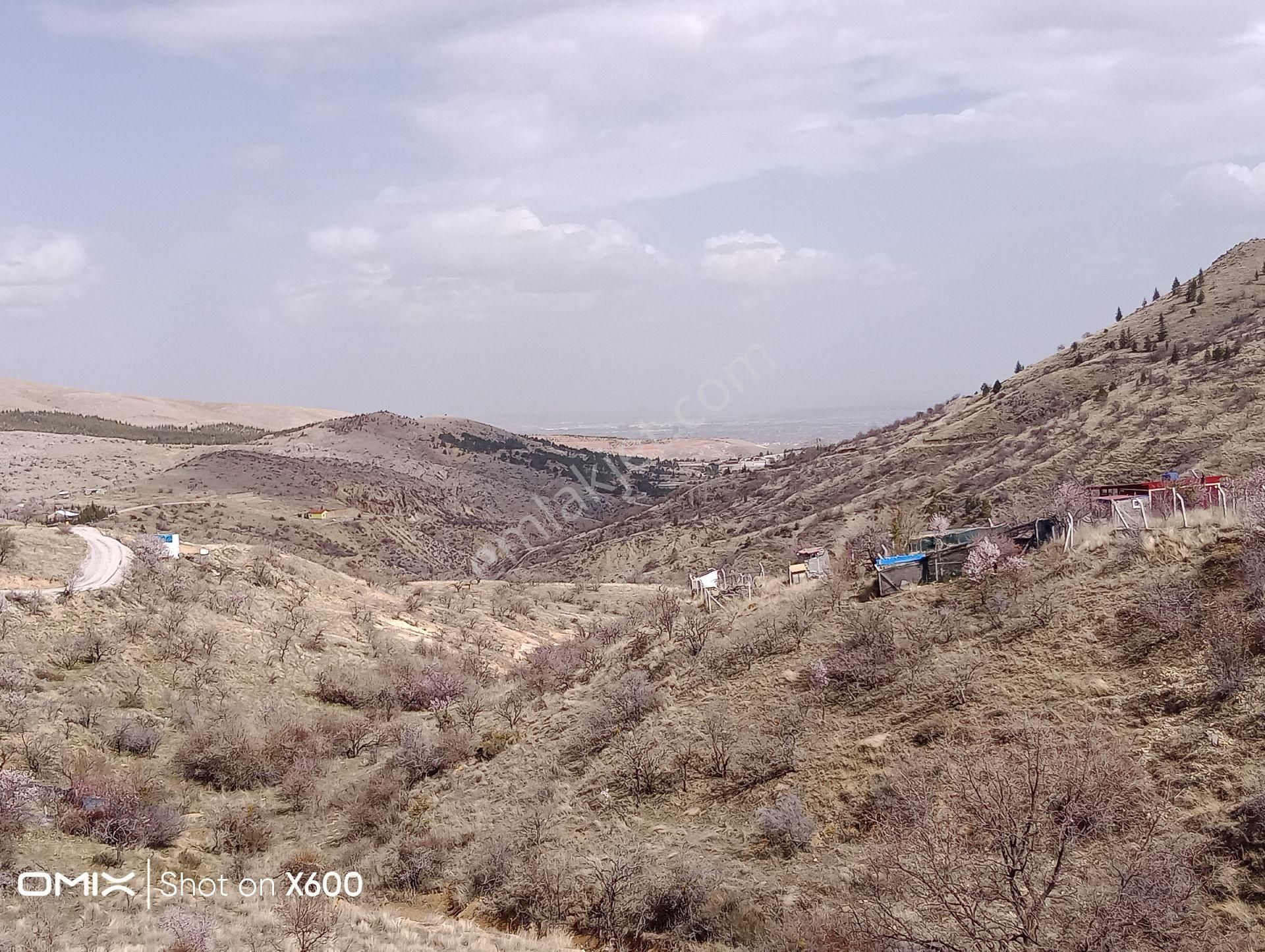 Selçuklu Sulutas Satılık Bağ & Bahçe  SELÇUKLU,SULUTAS MAH.3,006m2 YOL KENARI  SATILIK TARLA