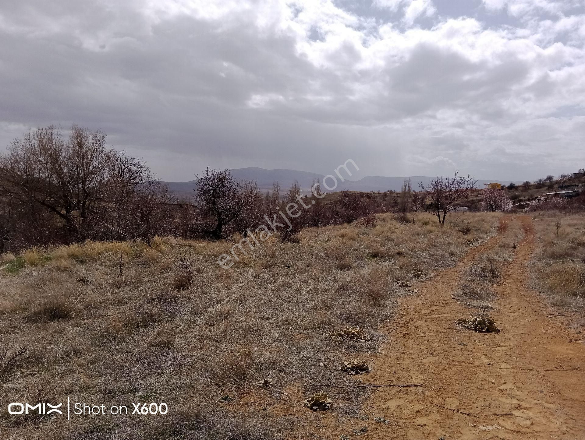 Selçuklu Sulutas Satılık Bağ & Bahçe  SELÇUKLU,SULUTAS MAH. 2,761m2 YOL KENARI  SATILIK TARLA