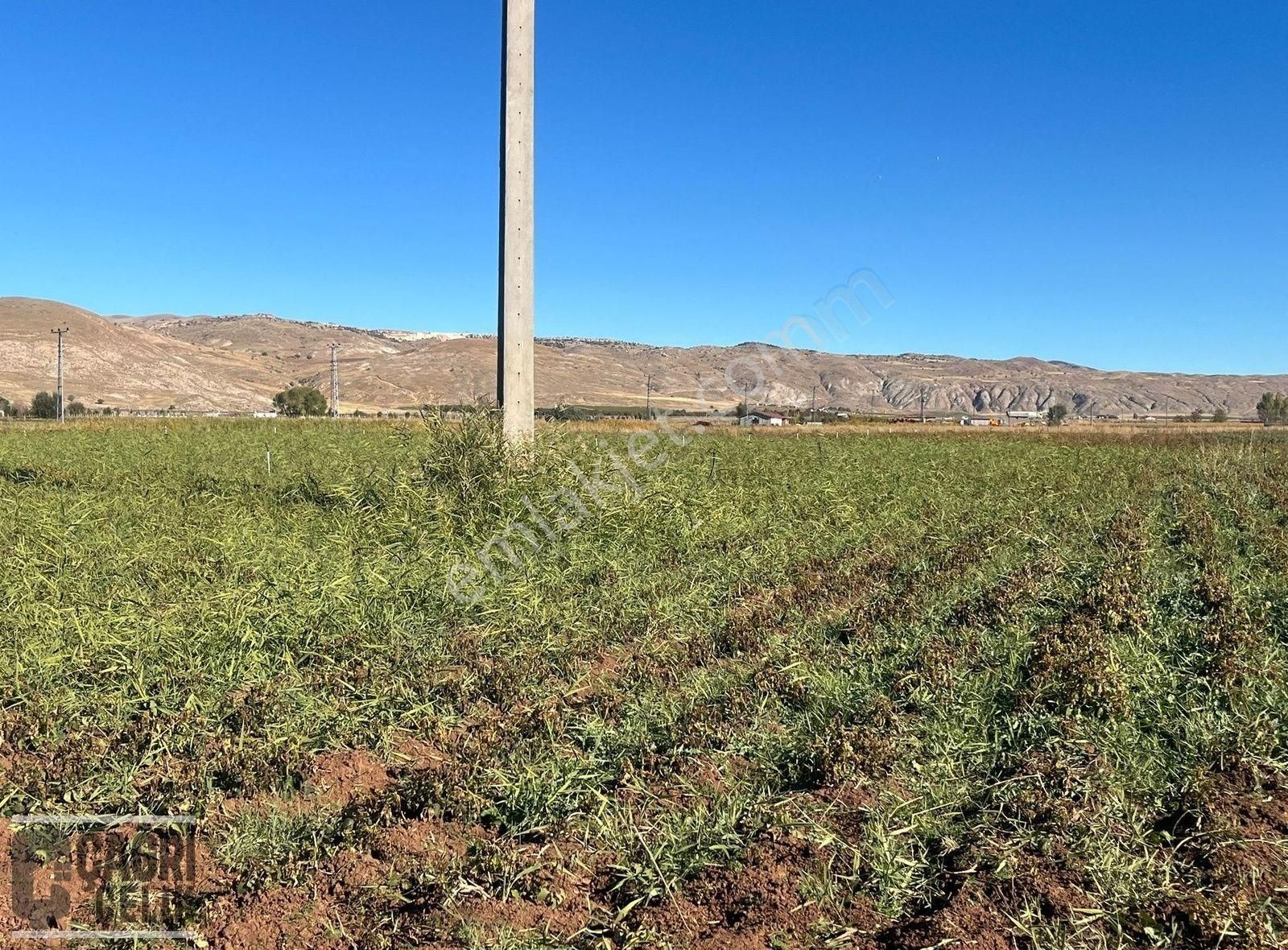 Sivas Merkez Çukurbelen Köyü Satılık Tarla Çağrı Çelik Gyd'dan Çukurbelen'de Köşe Başı Tek Tapu Tarla