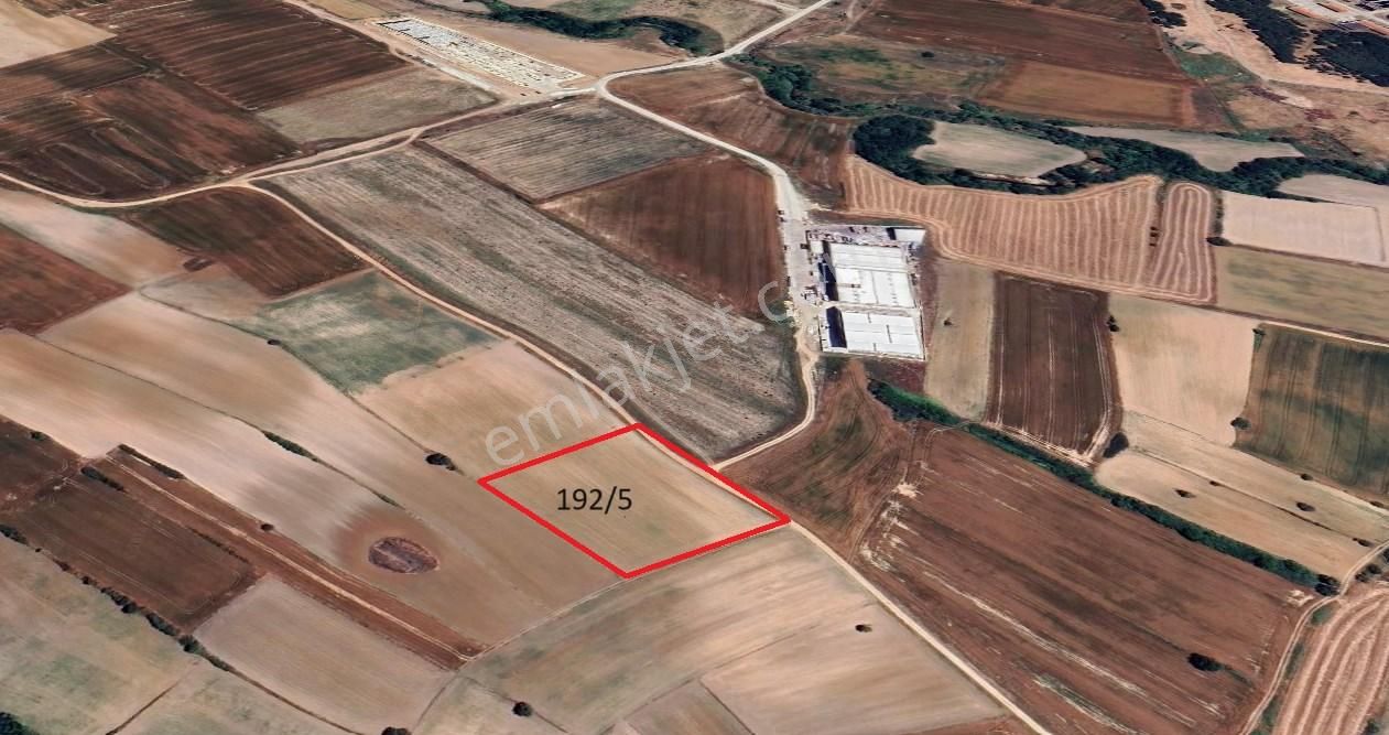 Kapaklı Fatih Satılık Depo, Antrepo İzinli Tekirdağ Kapaklı Karaağaç' ta Satılık 8000 M2 Sanayi Arsası