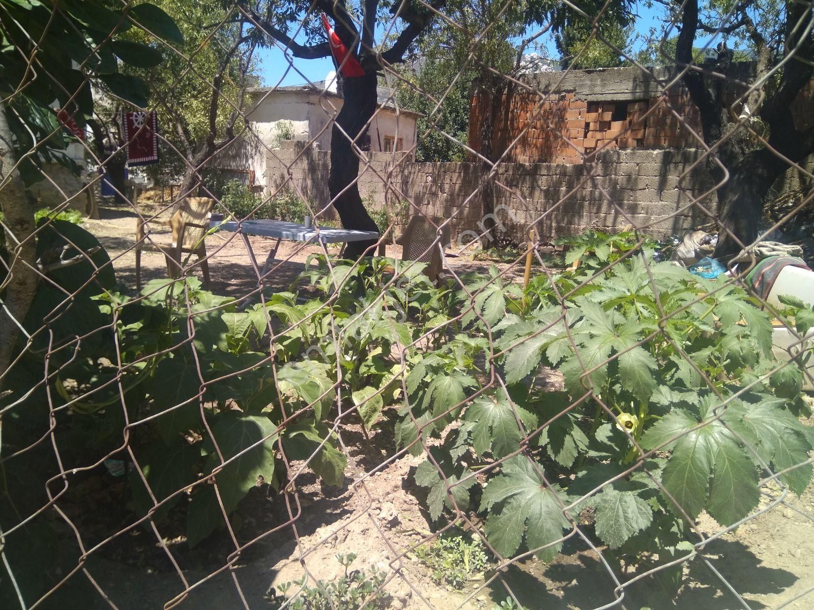 Muğla Datça Yazı Mahallesi Köyiçi Mevkiinde 125 M2 Arsa - Görsel 5