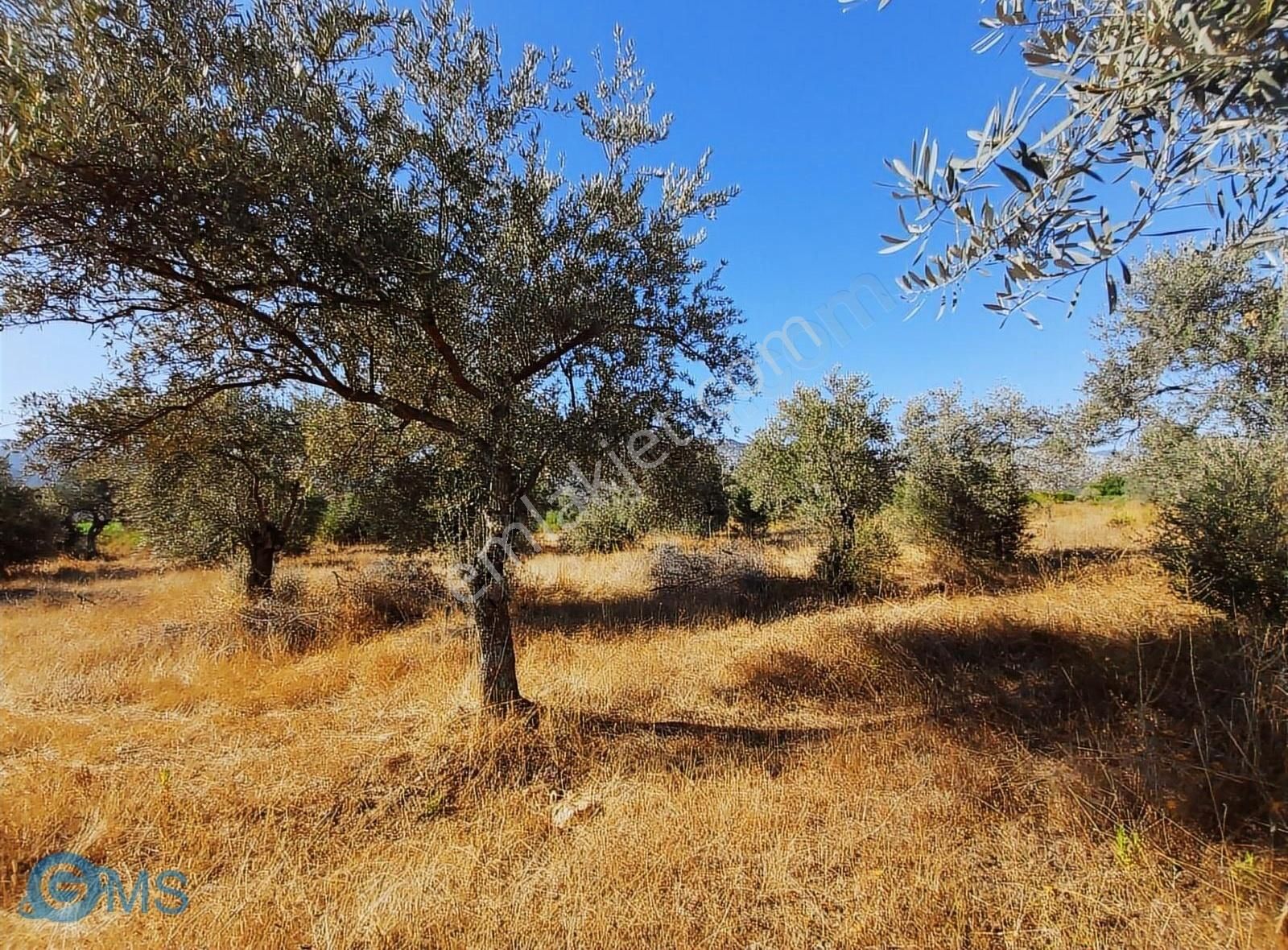 Yeşilova Düdende 2094m2 Köye Yakın Tamyatırımlık Müstakil Parsel - Görsel 3