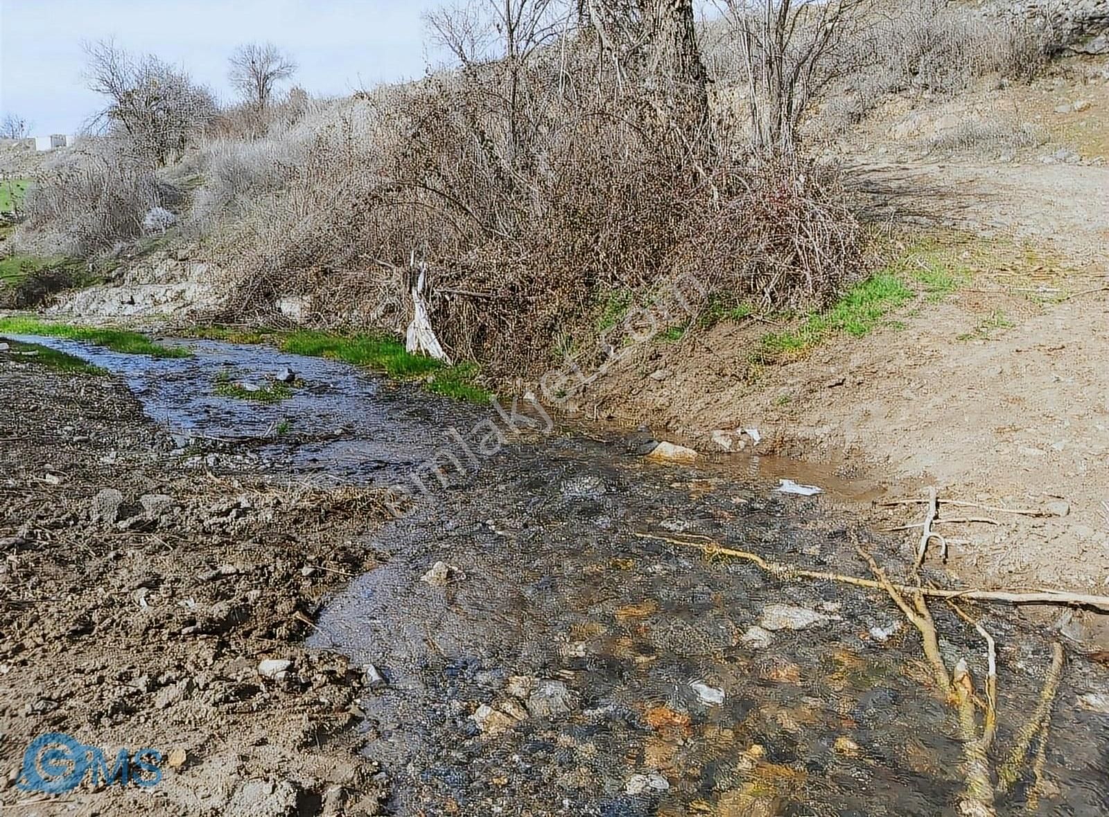 Burdur Merkez Kavacık Mah.de 3460m2 Lavanta Bahçesi Yatırımı - Görsel 14