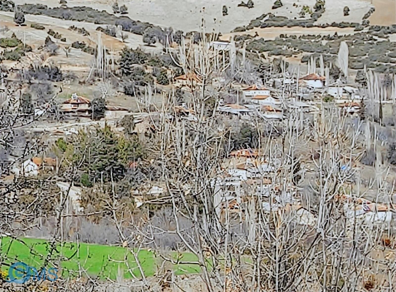 Burdur Merkez Kavacık Mah.de 3460m2 Lavanta Bahçesi Yatırımı - Görsel 5
