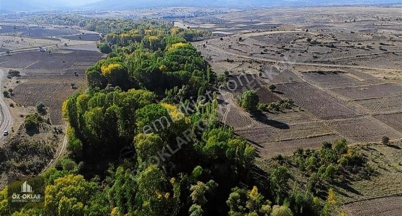 Akören Tülce Satılık Tarla Özoklardan Yeşillik İçinde Dere Yanı Yatırım Fırsatı 1081m²