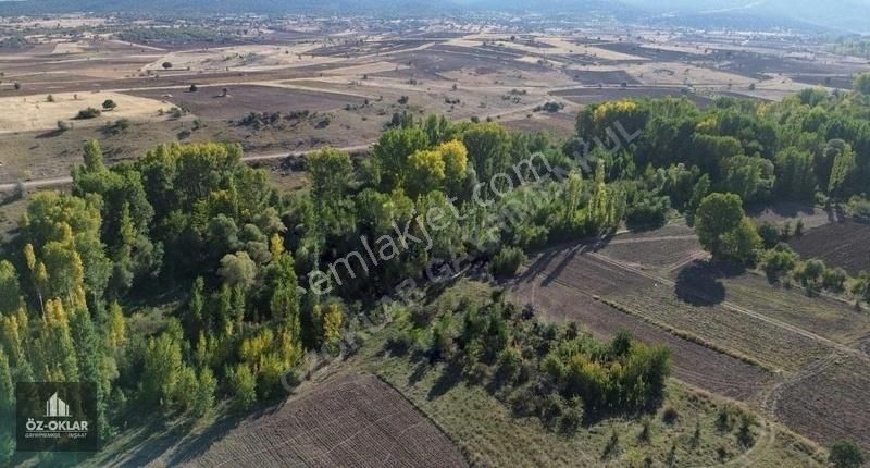 Akören Tülce Satılık Tarla Özoklardan Derenin Dibinde Kaçmaz Fırsat 1547m²