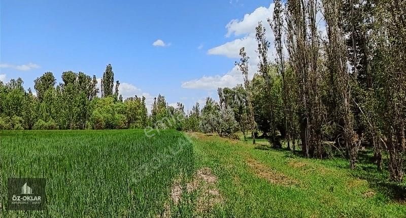 Akören Tülce Satılık Bağ & Bahçe ÖZOKLARDAN AKÖRENİN EN KIYMETLİ VE EN GÜZEL BAHÇESİ SATIŞTA