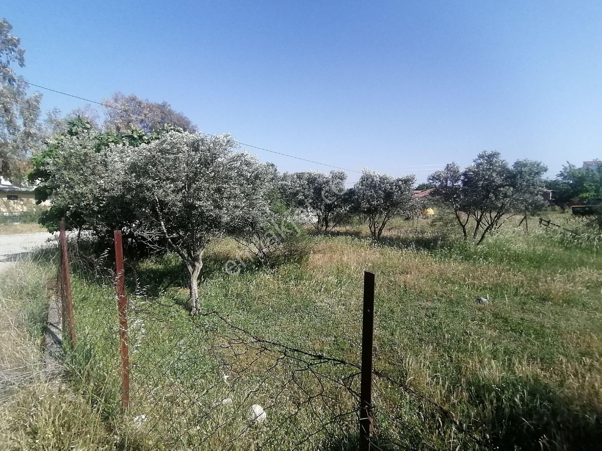 Menderes Akçaköy Satılık Bağ & Bahçe İzmir Menderes Akçaköy De Satılık Avlulu Ev Ve Bahçe