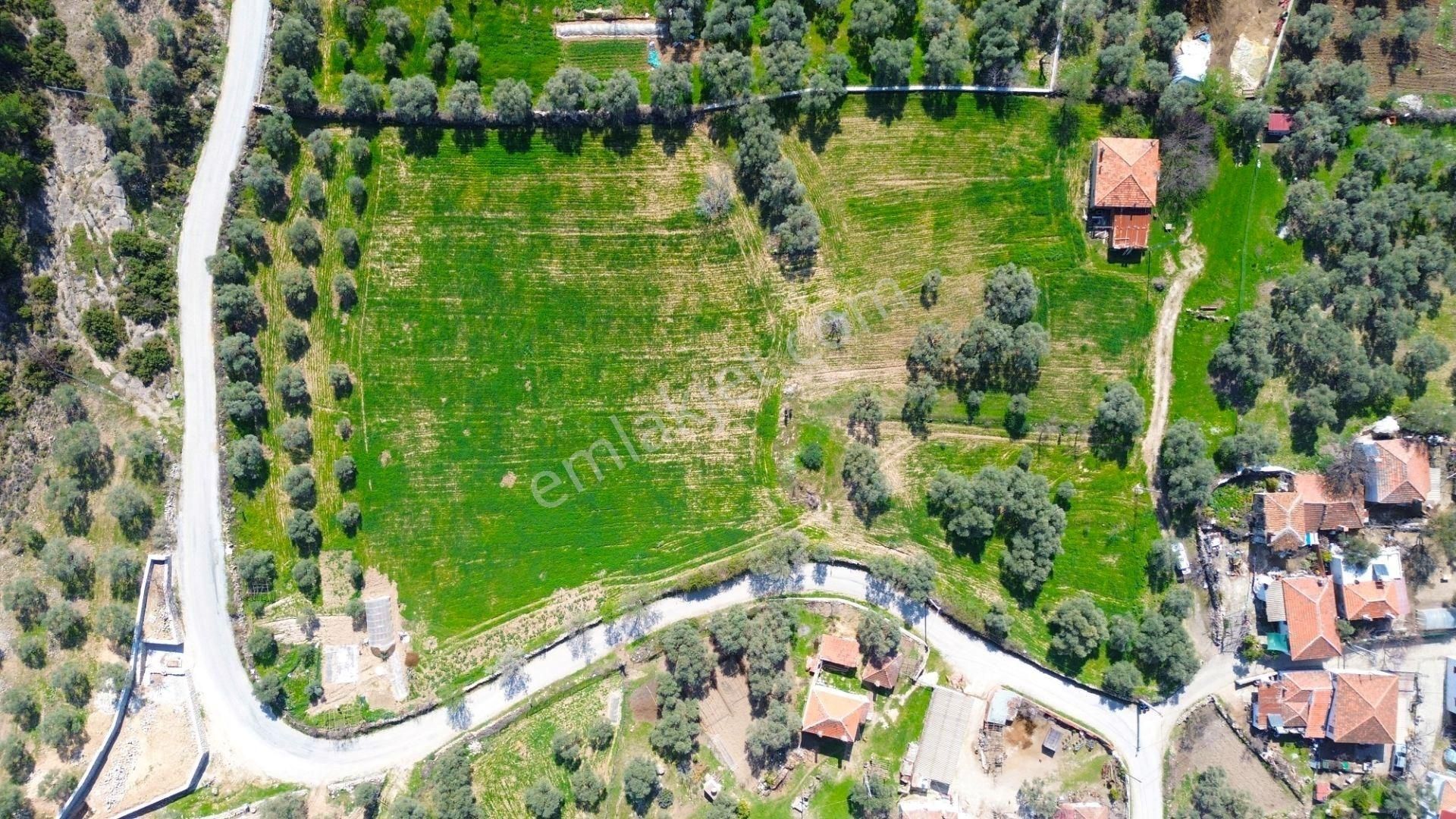 Kaçırılmaycak Fırsat Milas Çamköy'de 3000 M² Konut İmarlı Arsa - Görsel 2