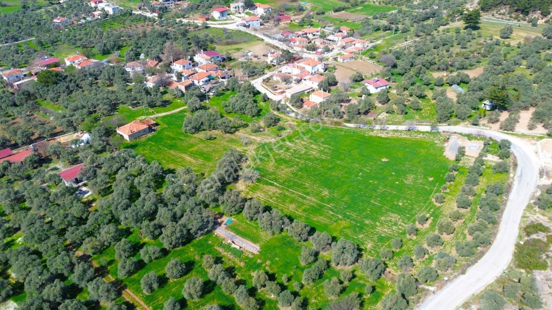 Kaçırılmaycak Fırsat Milas Çamköy'de 3000 M² Konut İmarlı Arsa - Görsel 6